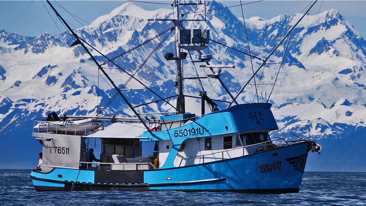 (c) Alaskawildfisch.de